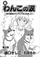 ストーリーな女たち