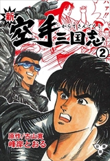 新空手三国志