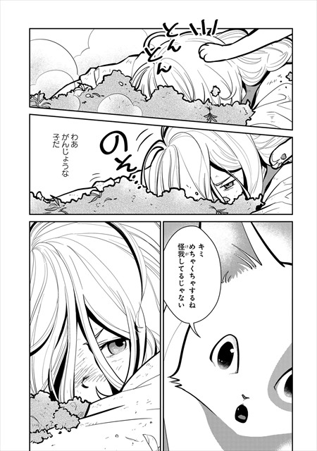 猫と竜