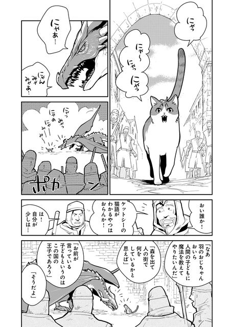 猫と竜