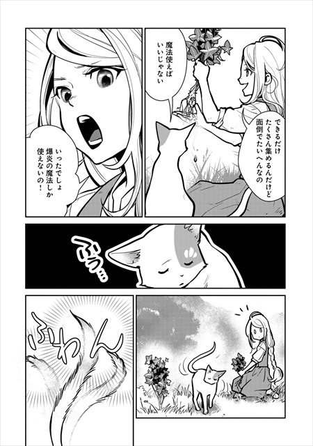 猫と竜