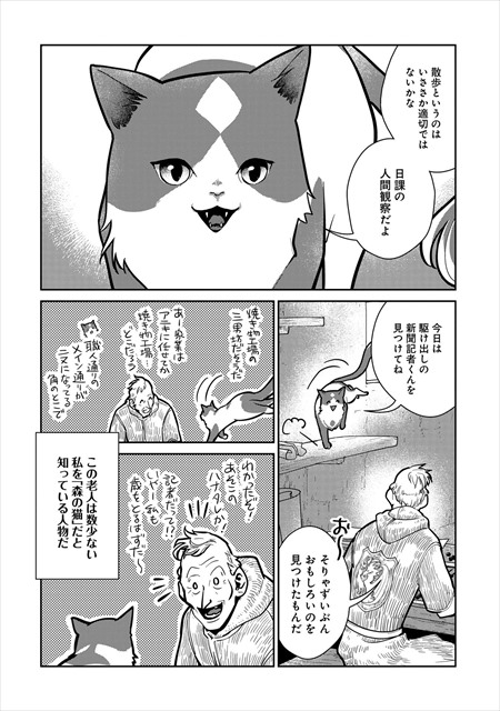 猫と竜