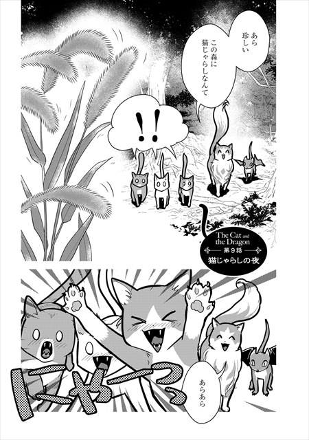 猫と竜