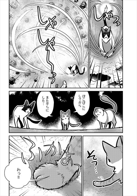 猫と竜