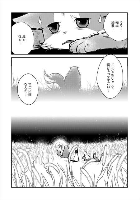 猫と竜
