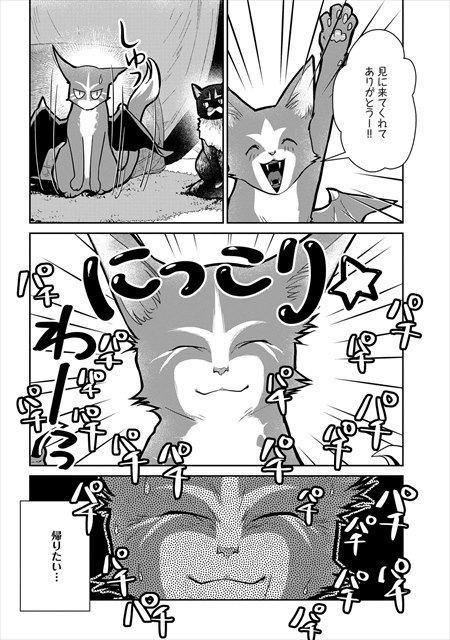 猫と竜