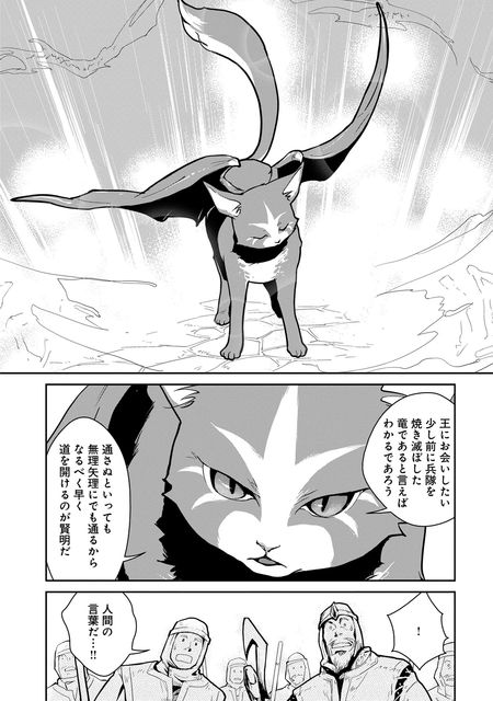 猫と竜