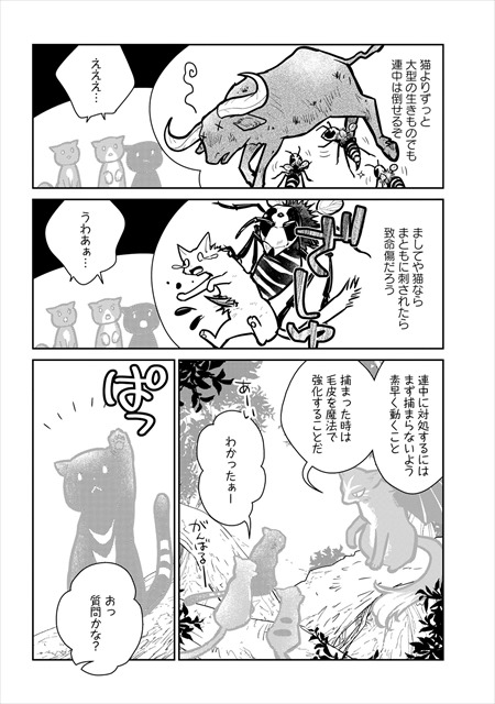 猫と竜