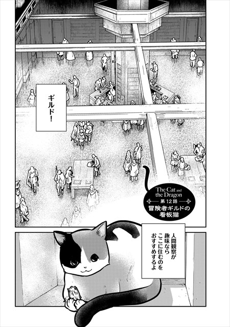 猫と竜