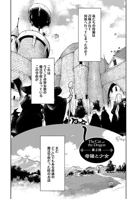 猫と竜