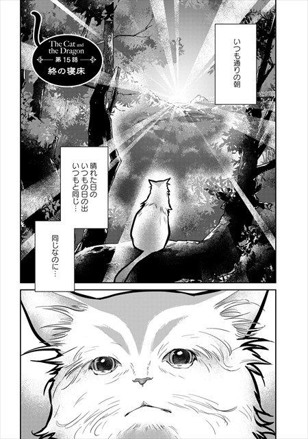 猫と竜
