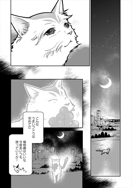 猫と竜