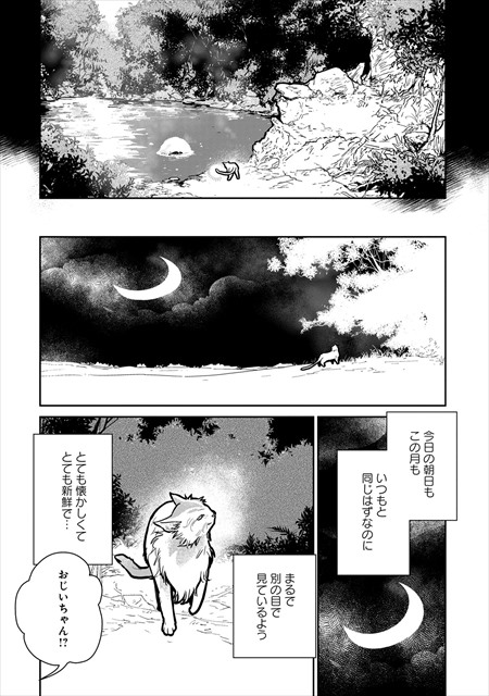 猫と竜