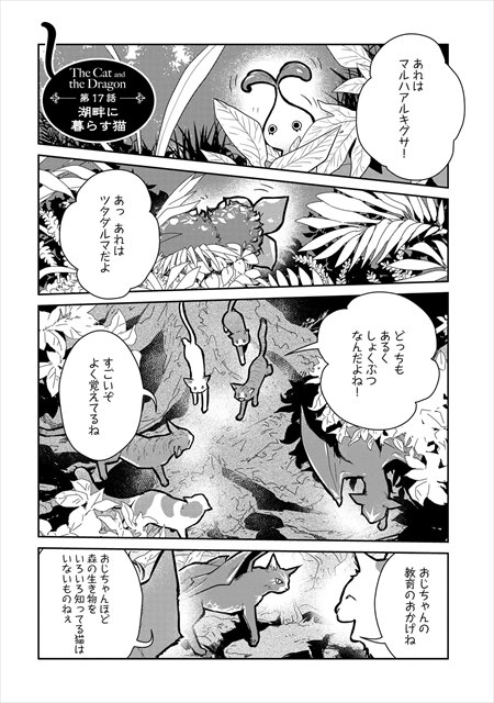 猫と竜
