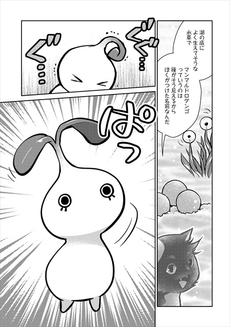 猫と竜