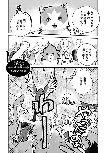 猫と竜