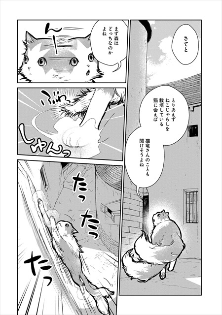 猫と竜