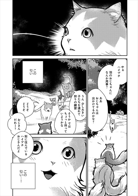 猫と竜