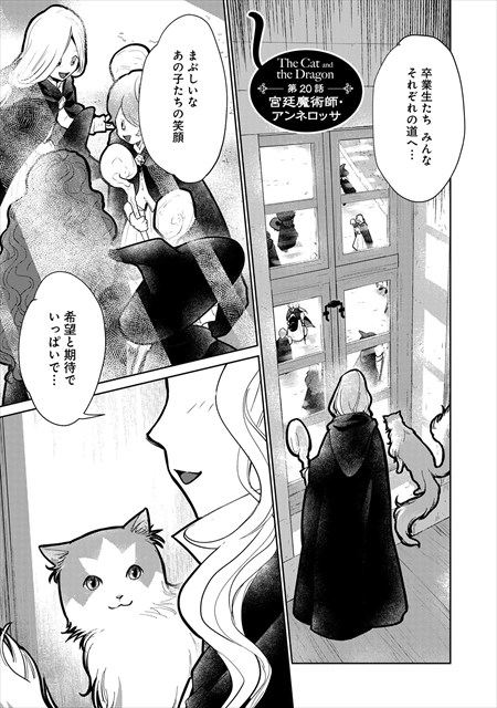 猫と竜