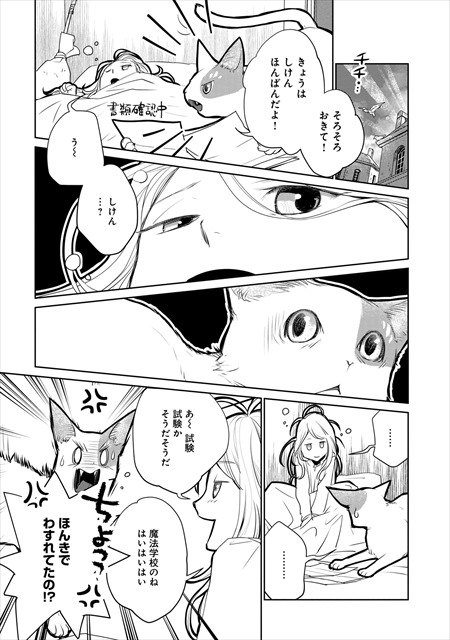 猫と竜