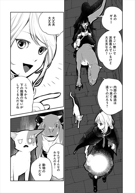 猫と竜