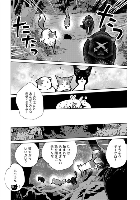 猫と竜