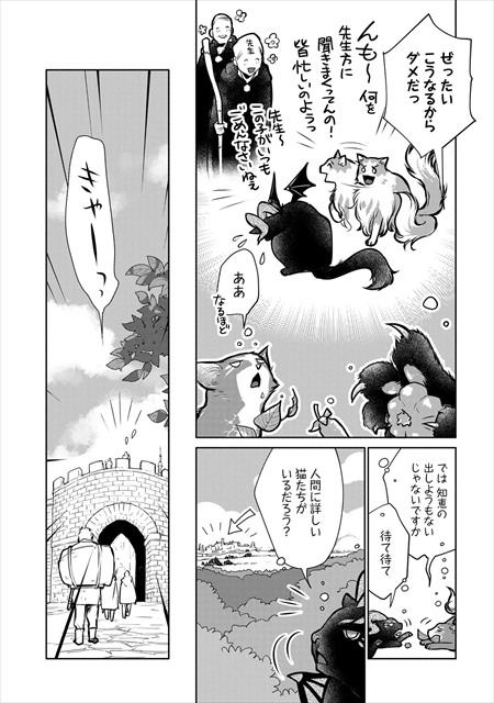 猫と竜