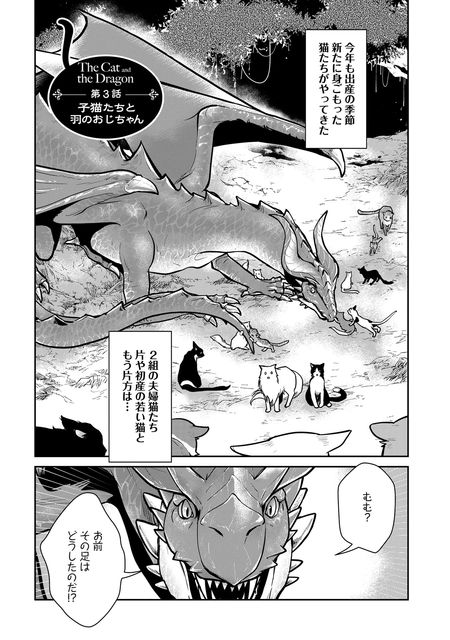 猫と竜
