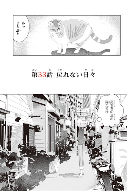 三角的恋愛の饗宴