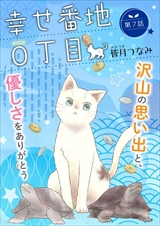 幸せ番地0丁目